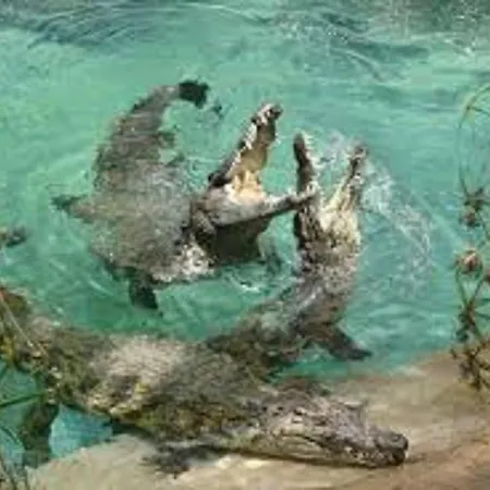 Apartament Celeste 250m De L'ocean Vue Panoramique *