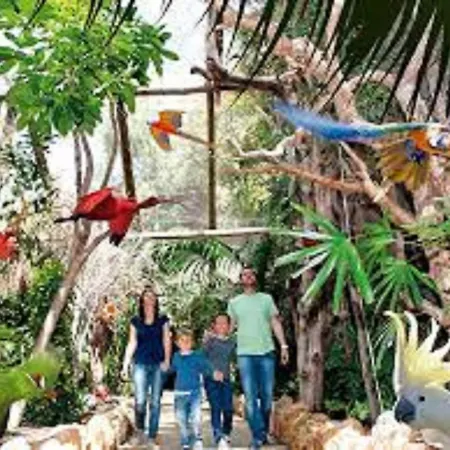 Celeste 250m De L'ocean Vue Panoramique Palm-mar