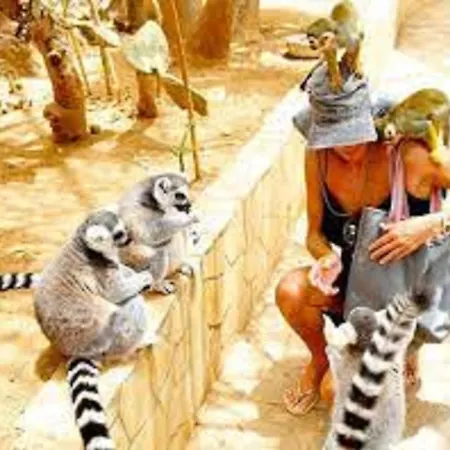 Apartament Celeste 250m De L'ocean Vue Panoramique Palm-mar